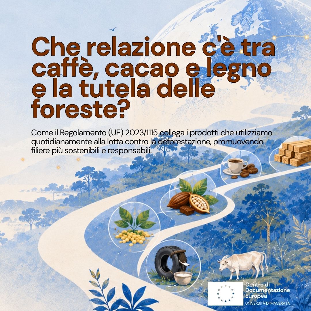 Che relazione c'è tra caffè, cacao e legno e la tutela delle foreste? 