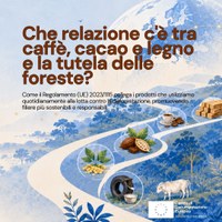 Che relazione c'è tra caffè, cacao e legno e la tutela delle foreste? 