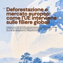 Deforestazione e mercato europeo: come l’UE interviene sulle filiere globali 