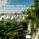 Foreste, clima e biodiversità: perché la loro protezione è centrale 