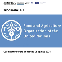 Tirocini alla FAO